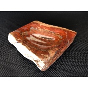 BOIS FOSSILE CENDRIER 685 gr