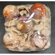 BOIS FOSSILE BOULE Lot de 5 pièces