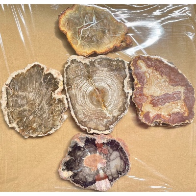 BOIS FOSSILE PLAQUE Deux Faces Polies Paquet de 1 kg