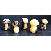SEPTARIA CHAMPIGNON lot de 5 pièces