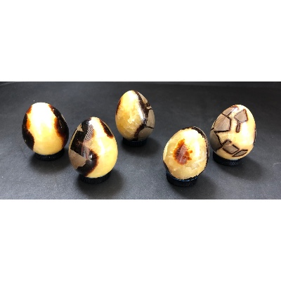 SEPTARIA Jaune OEUF Lot de 5 Pièces
