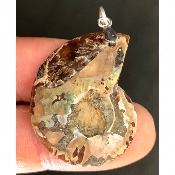 AMMONITE PENDENTIF 