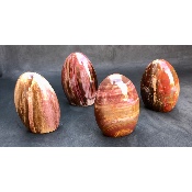 BOIS FOSSILE FORME LIBRE Lot de 4 pièces