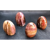 BOIS FOSSILE FORME LIBRE Lot de 4 pièces