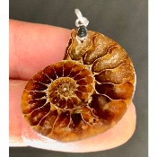 AMMONITE PENDENTIF 