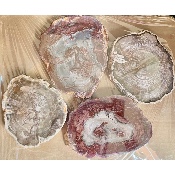 BOIS FOSSILE PLAQUE Deux Faces Polies Paquet de 1,5 kg