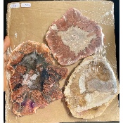 BOIS FOSSILE PLAQUE Deux Faces Polies Paquet de 1500g