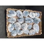 CÉLESTINE lot de 18 pièces