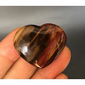 BOIS FOSSILE COEUR 21 gr