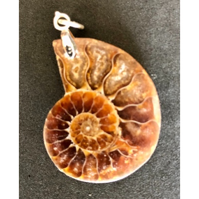 AMMONITE PENDENTIF 