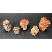 BOIS FOSSILE TRONC Lot de 420g