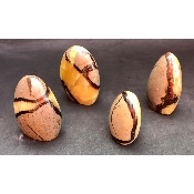 SEPTARIA FORME LIBRE lot de 4 pièces