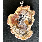 BOIS FOSSILE PLAQUE PENDENTIF 24,1 gr