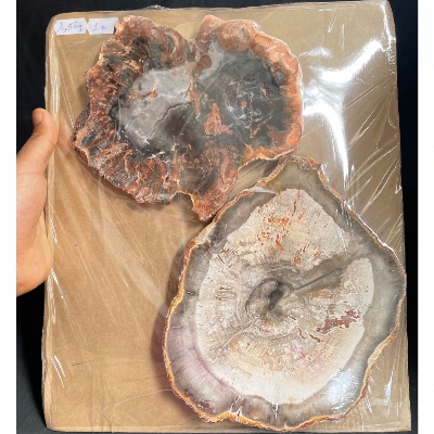 BOIS FOSSILE PLAQUE Deux Faces Polies 1500g