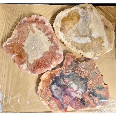 BOIS FOSSILE PLAQUE Deux Faces Polies Paquet de 1500g