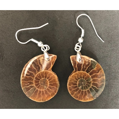 AMMONITE BOUCLE D'OREILLE 