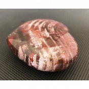 BOIS FOSSILE COEUR 465 gr