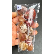 BOIS FOSSILE COEUR Lot de 10 Pièces