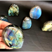 LABRADORITE Forme Libre Polie Lot de 12 pièces