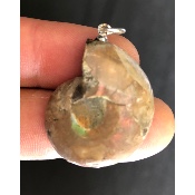 AMMONITE PENDENTIF 