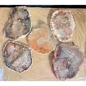 BOIS FOSSILE PLAQUE Deux Faces Polies Paquet de 1,5 kg