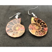 AMMONITE BOUCLE D'OREILLE 