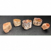 BOIS FOSSILE TRONC Lot de 1040g